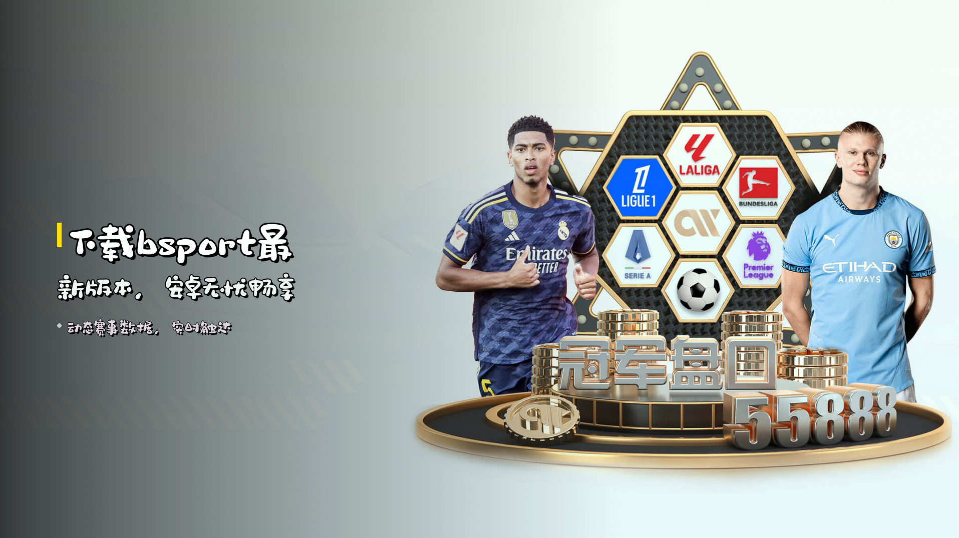 下载<strong>bsport最新版本</strong>，安卓无忧畅享